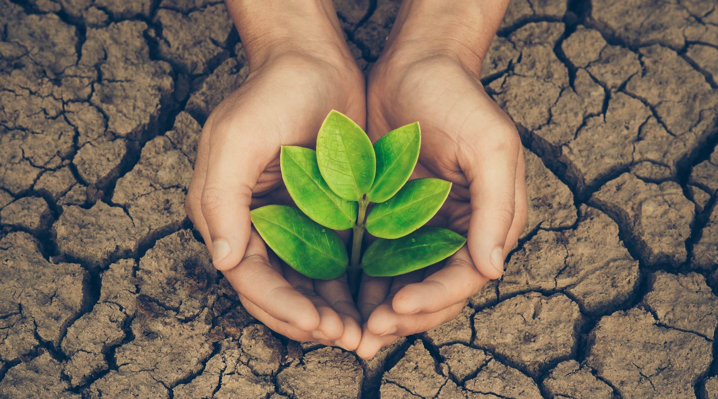 Che cos’è e quali vantaggi assicura alle aziende la Certificazione ISO 20400 